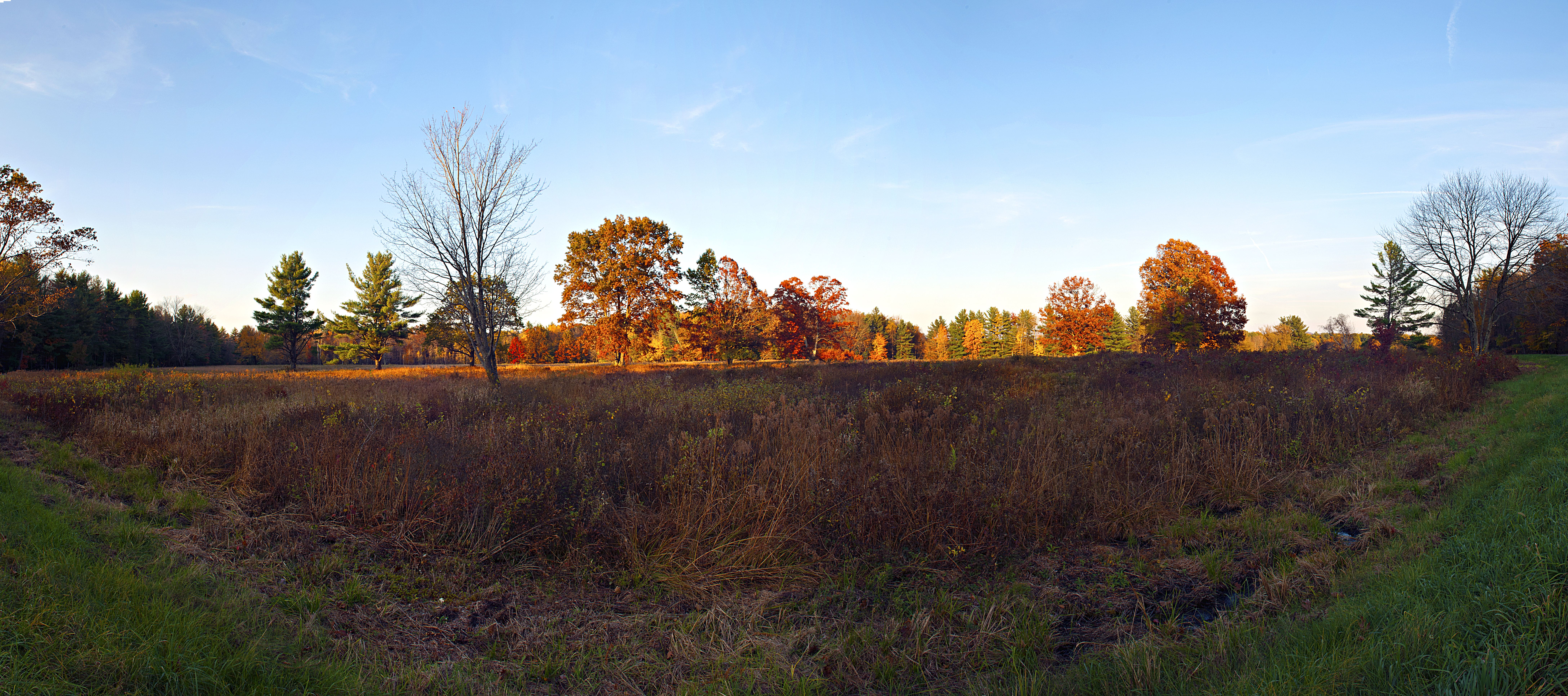 Panorama_6268_79.JPG