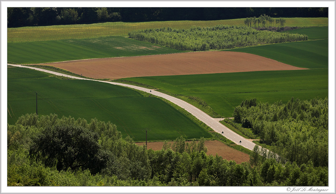 The road