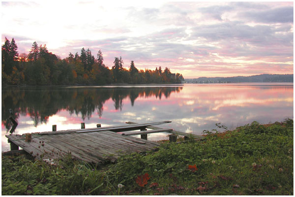 Chizuko Farley: At First Light