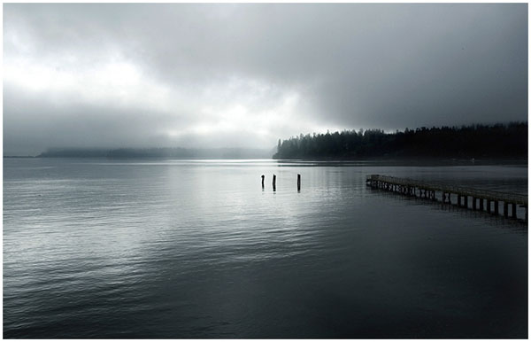 Cindee Berry: Reflecting on Fog