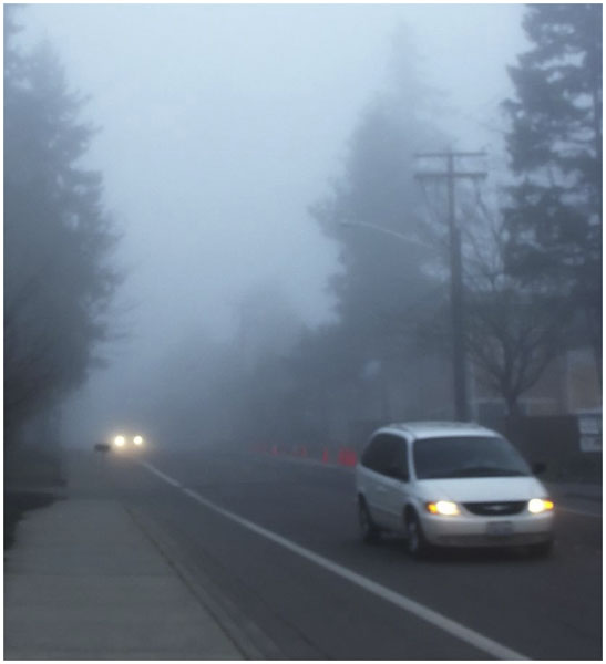 Don Cooper: Foggy Street