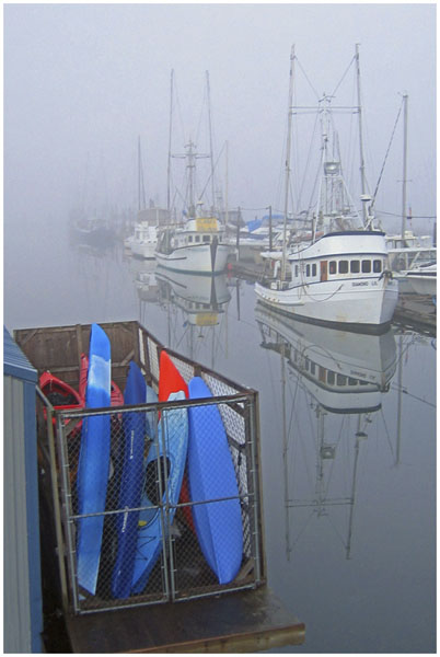 Don Ericson: Poulsbo Fog