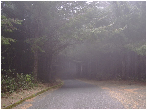 Noel Berry: Into the Fog