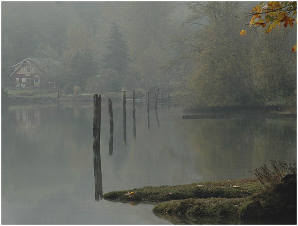 Norm Babcock: Morning Fog
