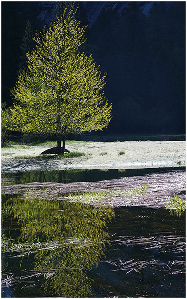 Sue Hylen: Morning at Mirror Lake