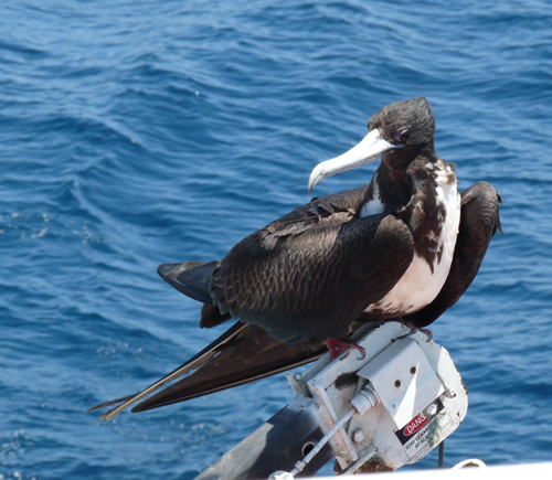 She hitched a ride enroute to Santa Fe