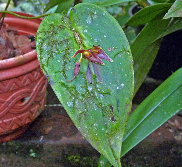 P1010599w.jpg
