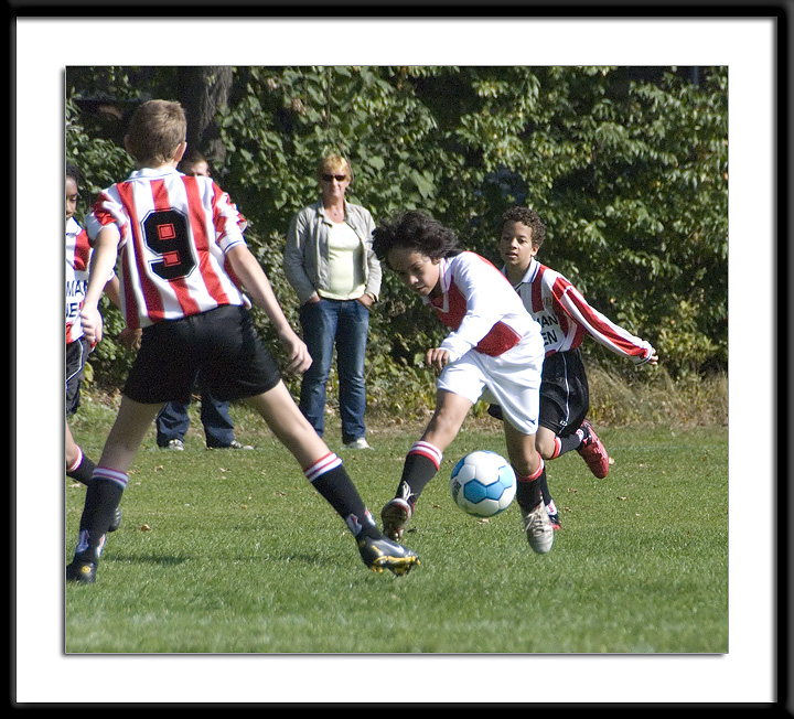 DSC_6250-p-p-p.jpg