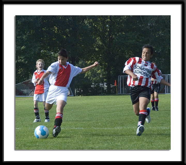 DSC_6335-p-p-p.jpg