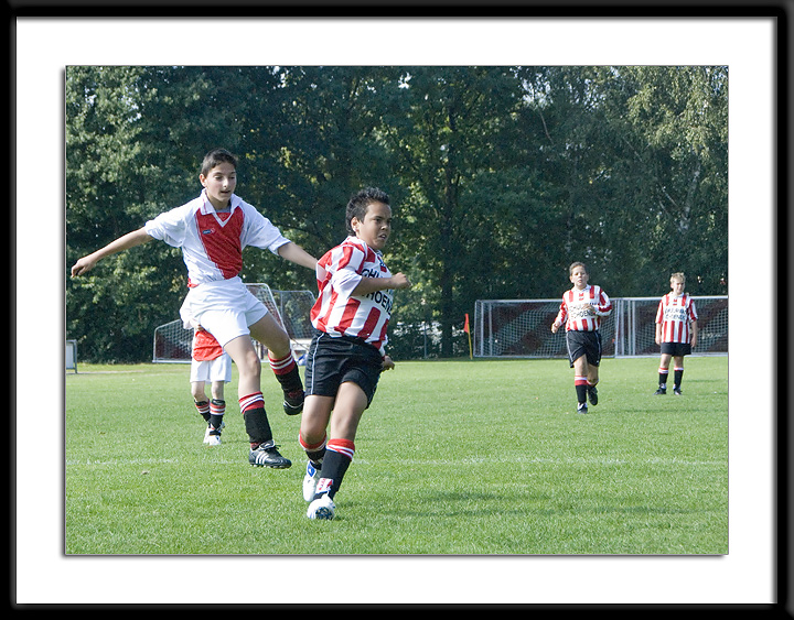 DSC_6336-p-p-p.jpg
