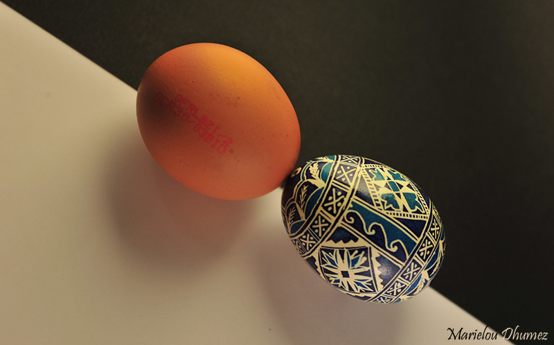 EGGS