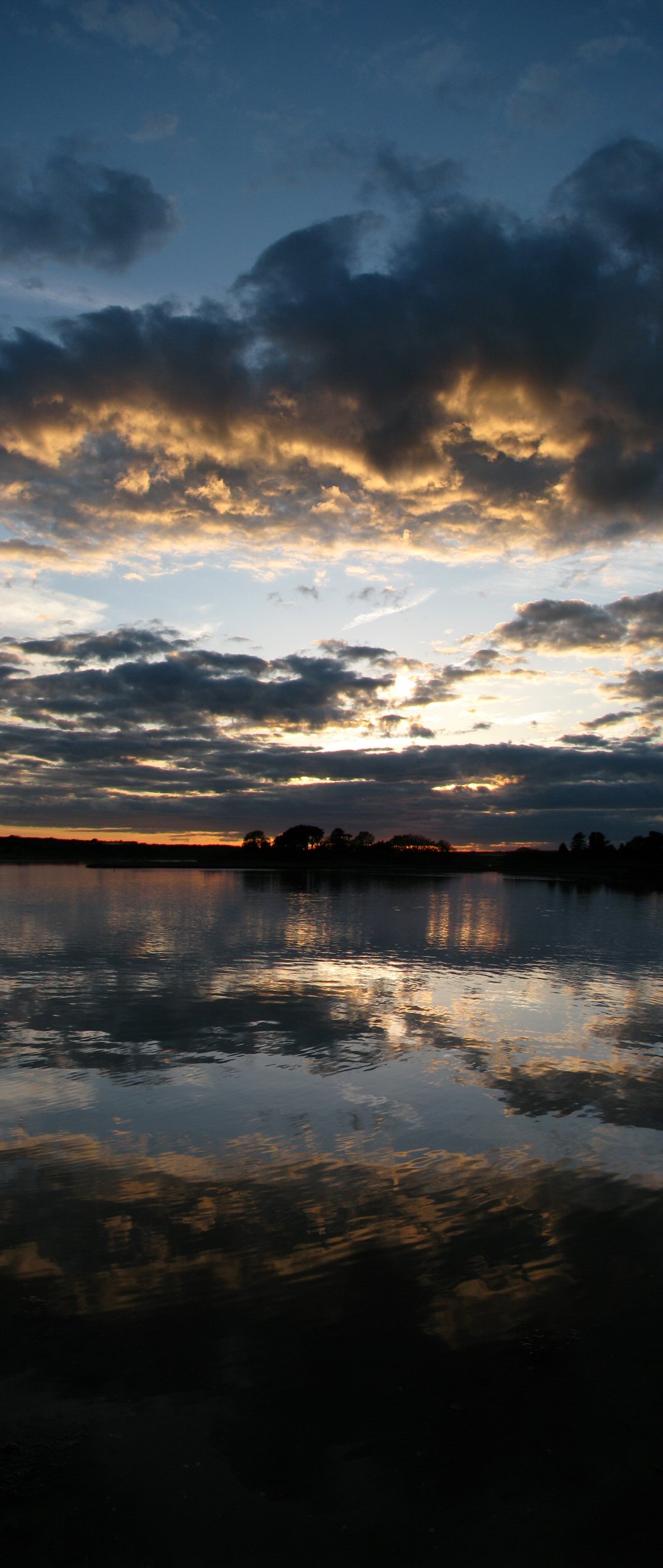 Pond Reflections.jpg