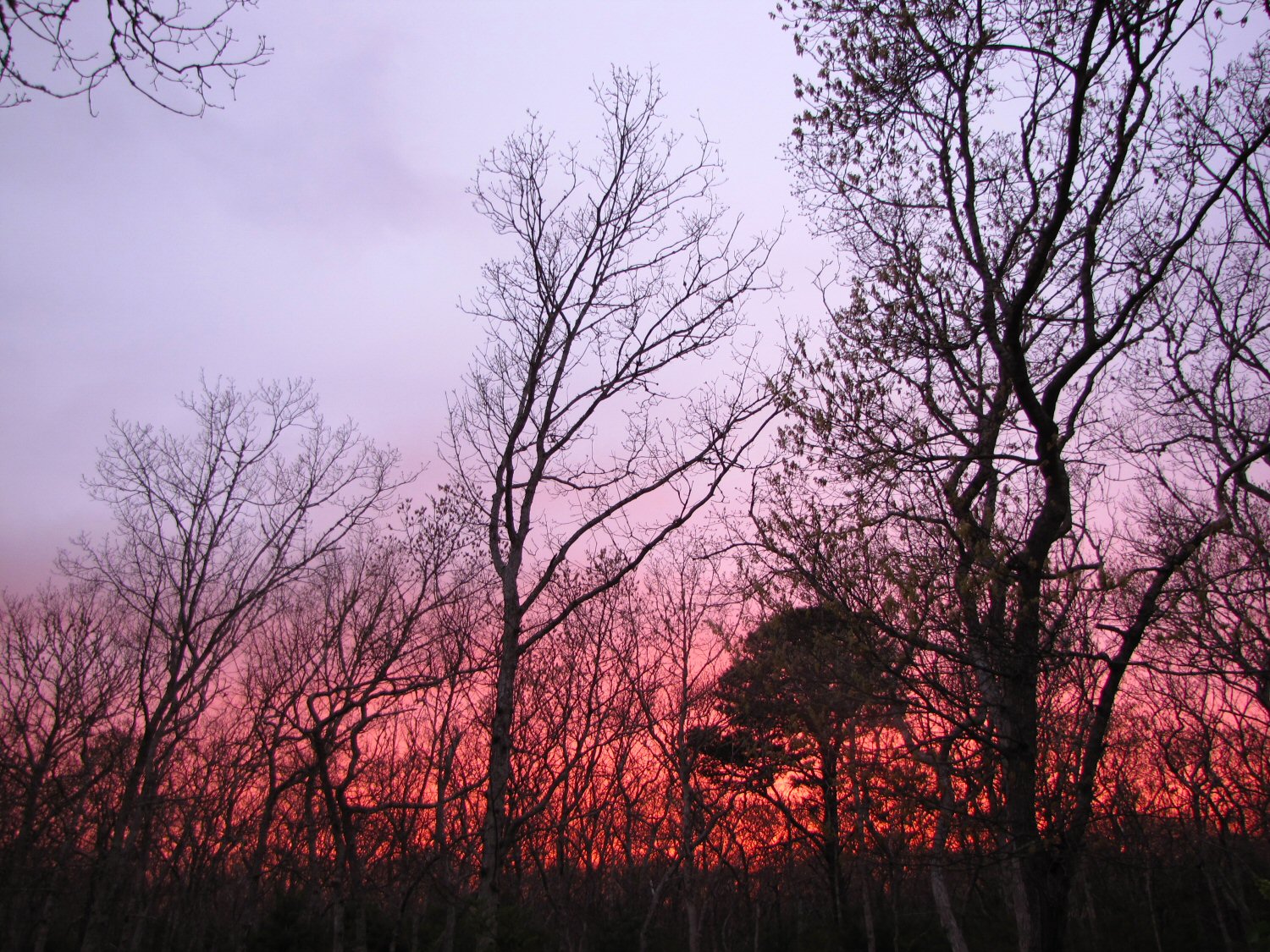 Sundown.jpg