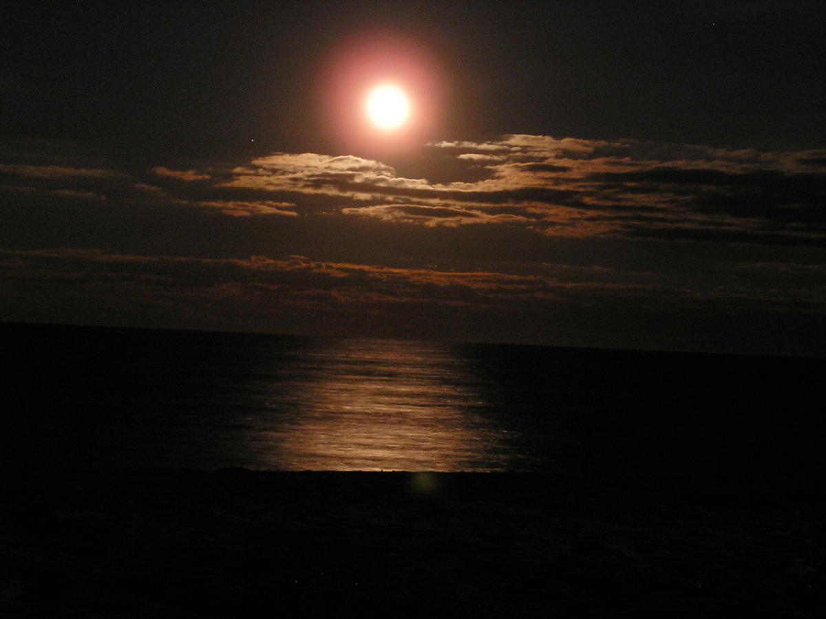 moonrise nov 17 2005.JPG