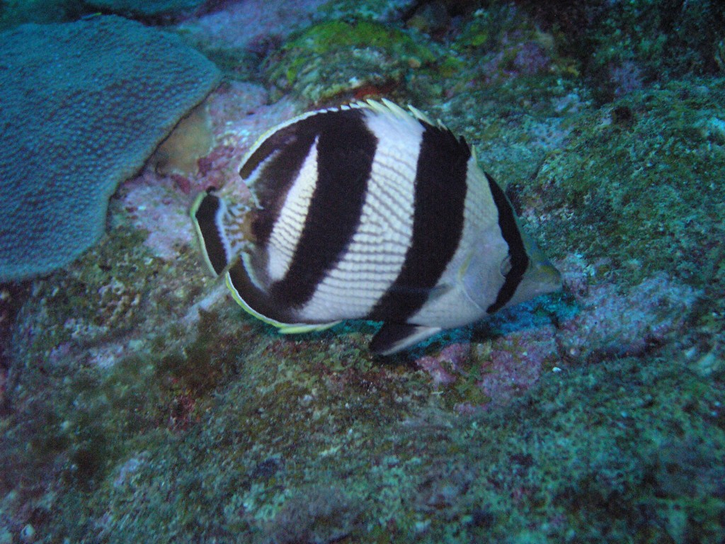 PB130162.JPG