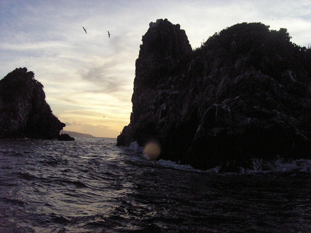 PB130182.JPG