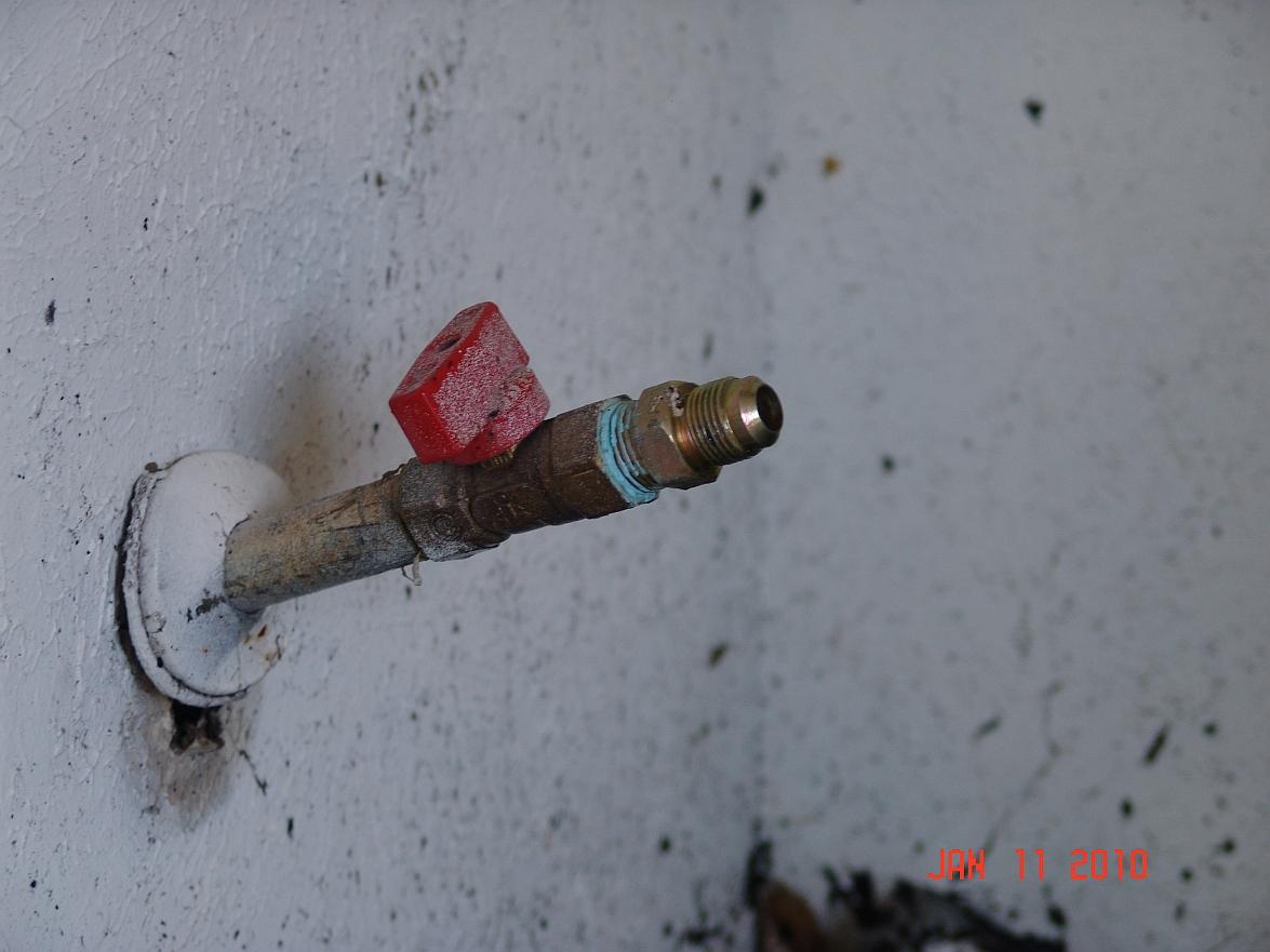 DSC05713.jpg