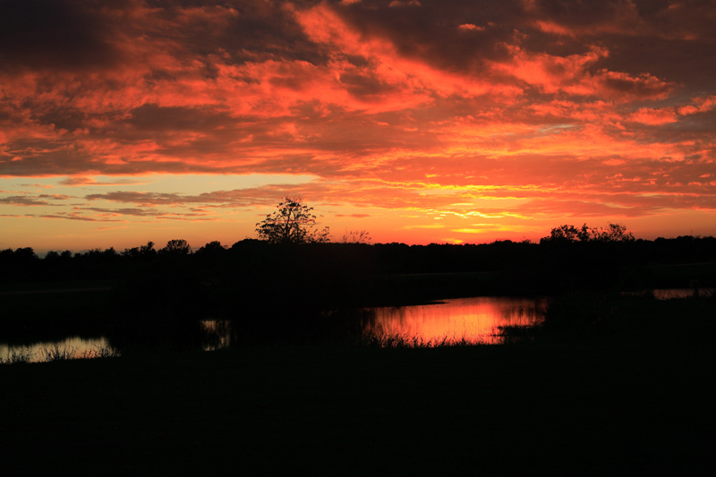 Sunset at Saddle Creek Orange Clouds Reflected in water.jpg