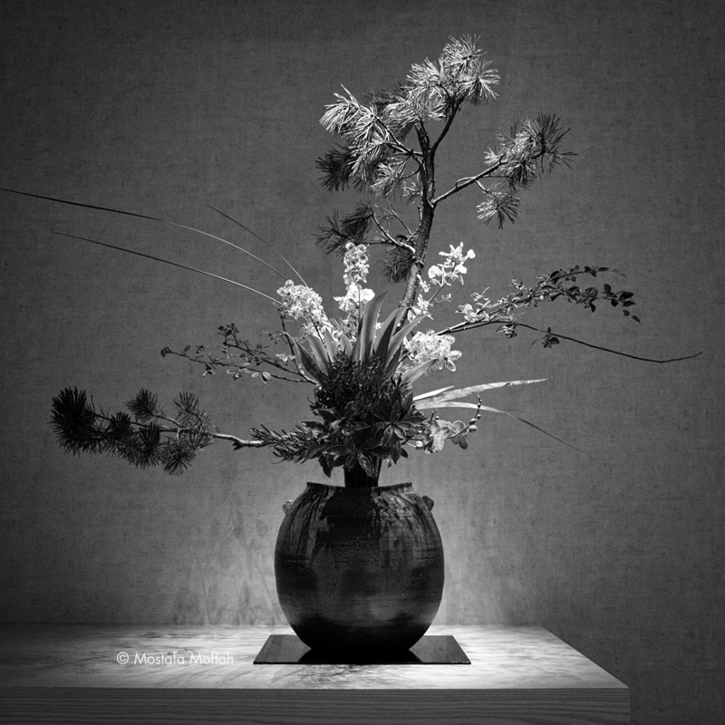 Ikebana - Living Flowers of Japan