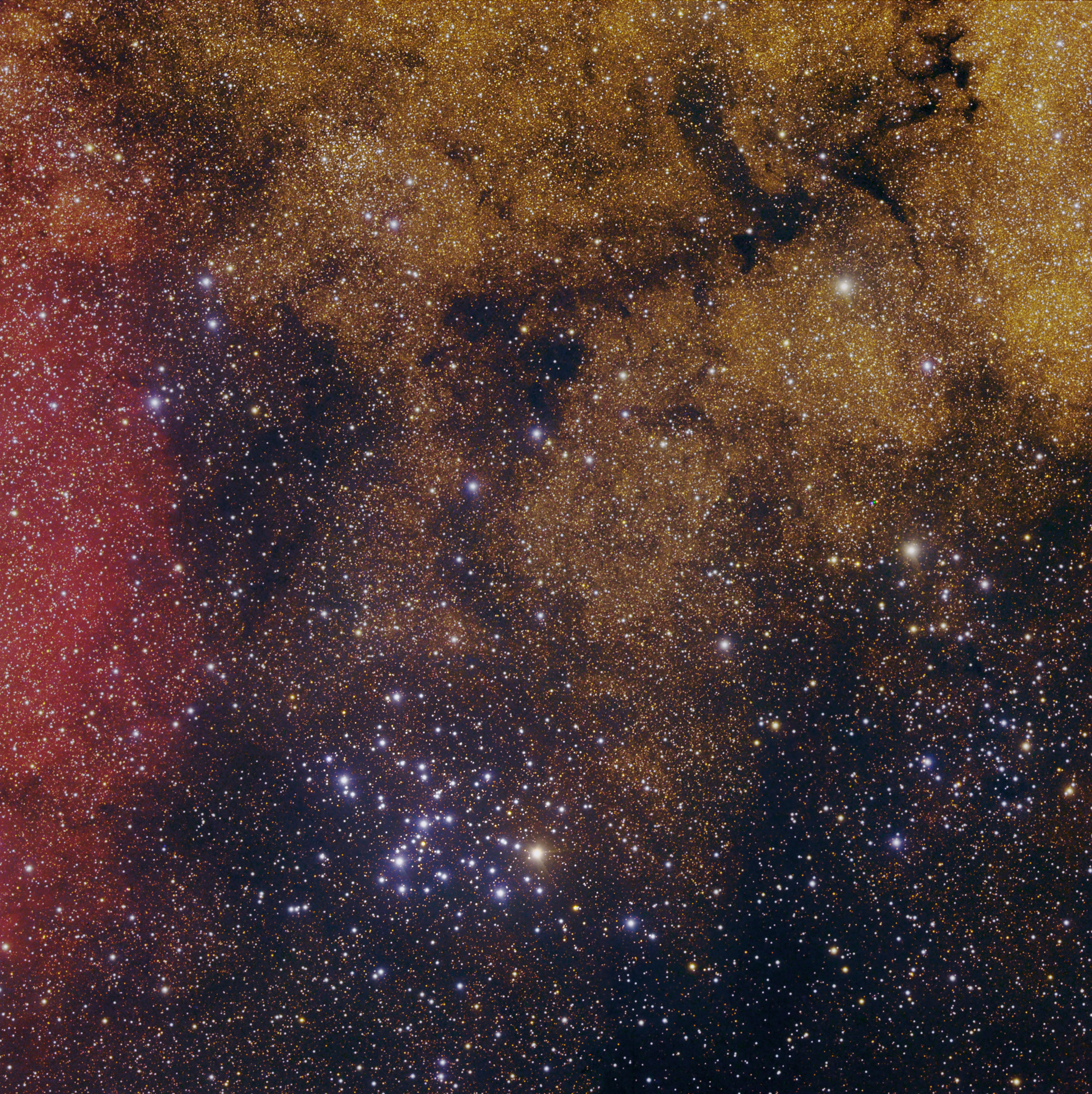 Butterfly in The Milky Way