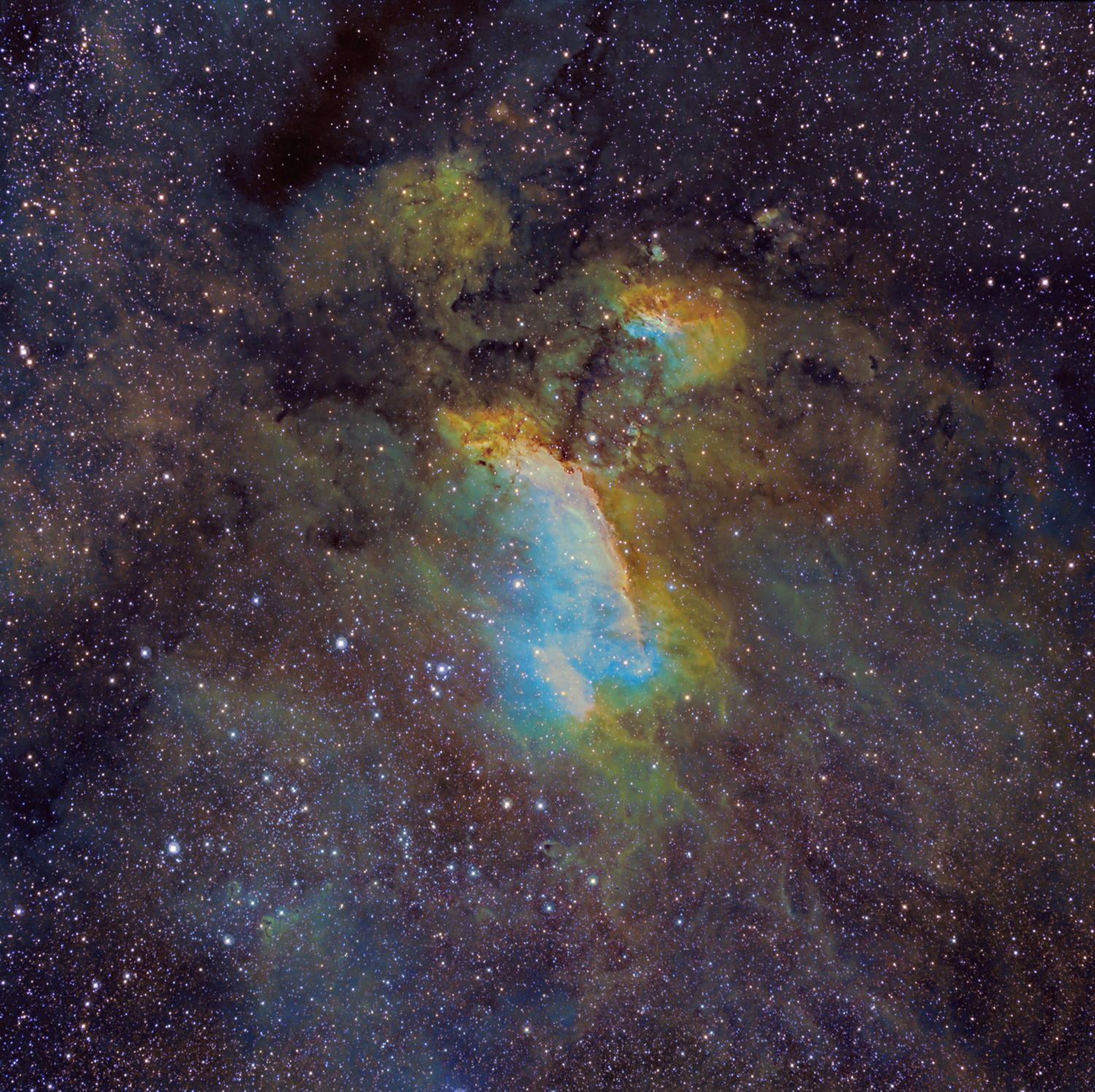 The Prawn Nebula IC 4628 - full frame (1500 X 1500)