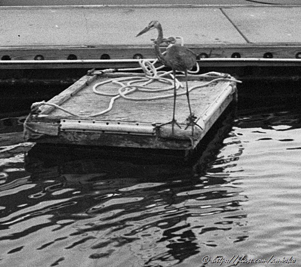 Miami Beach with Kodak Vest Pocket Autographic