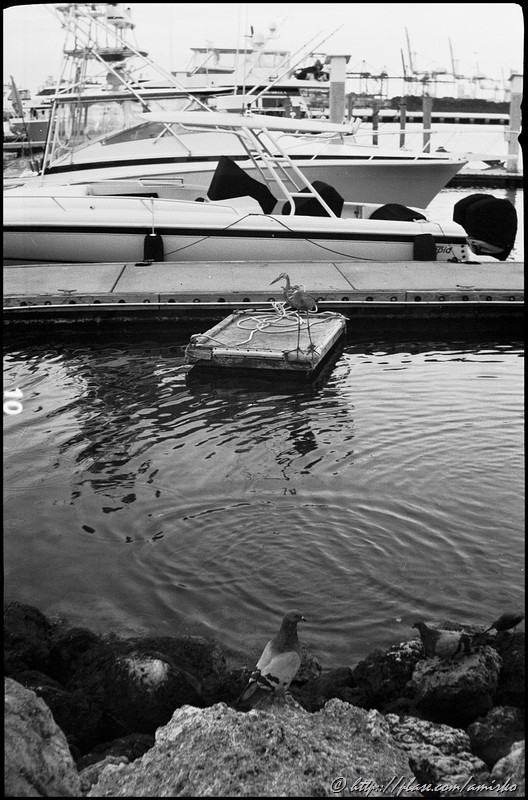 Miami Beach with Kodak Vest Pocket Autographic