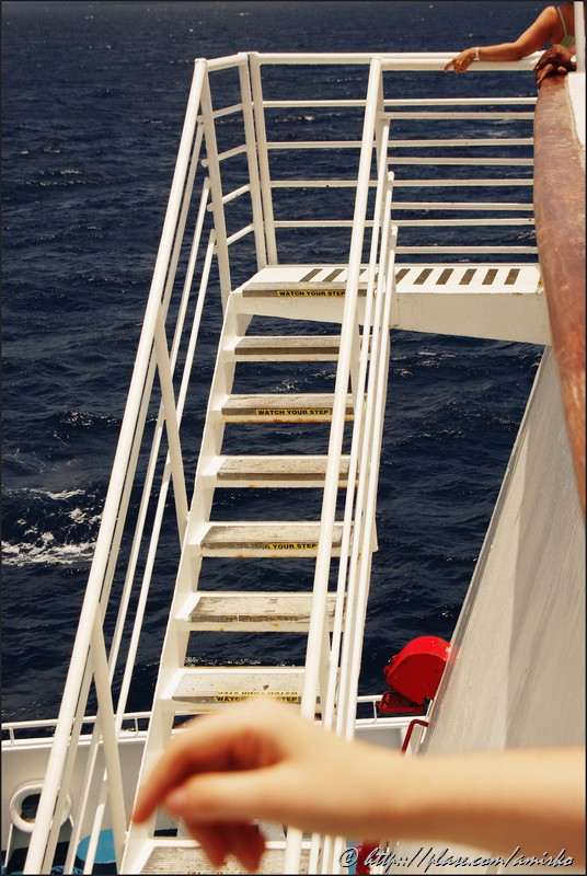 On board of Discovery Sun