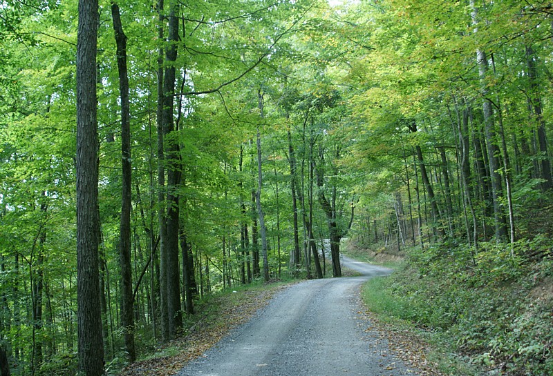 Panther Mtn Road to Woods Ferry