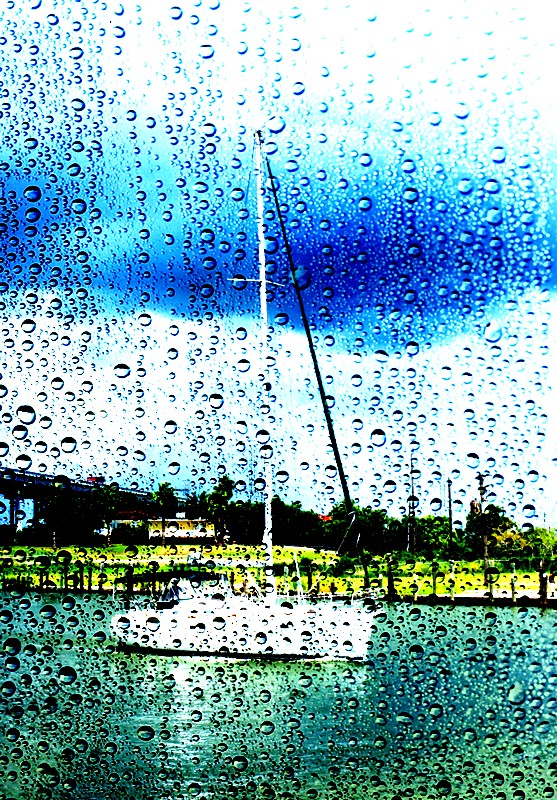 LIGHT RAIN BLUES