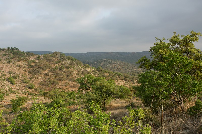 View from the Loop