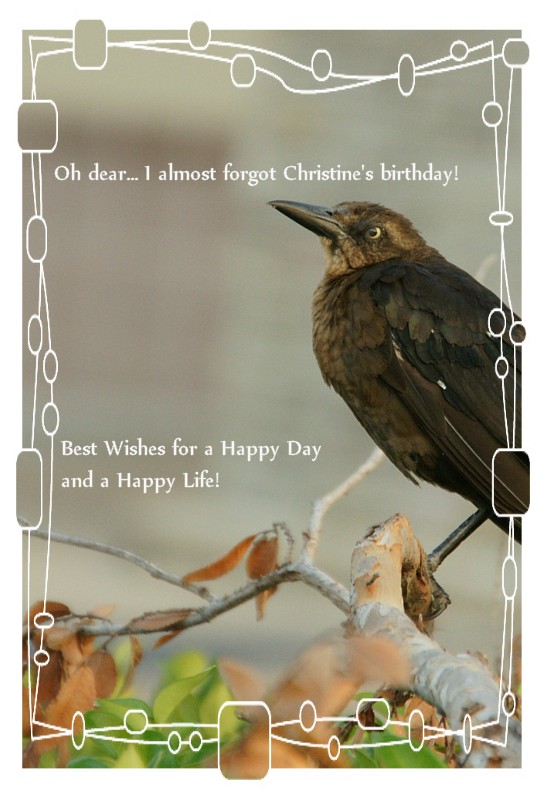 Christines Hanrahans Birthday