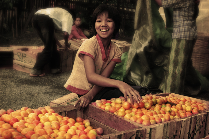 Packing tomatoes at Inle Lake