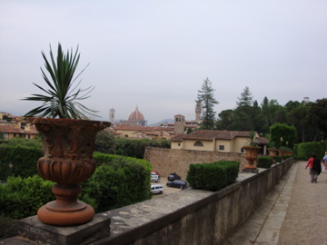 DSC00135.jpg