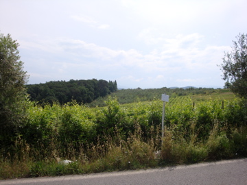 DSC00225.jpg