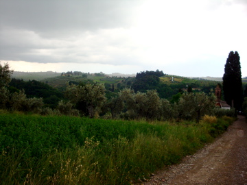 DSC00266.jpg