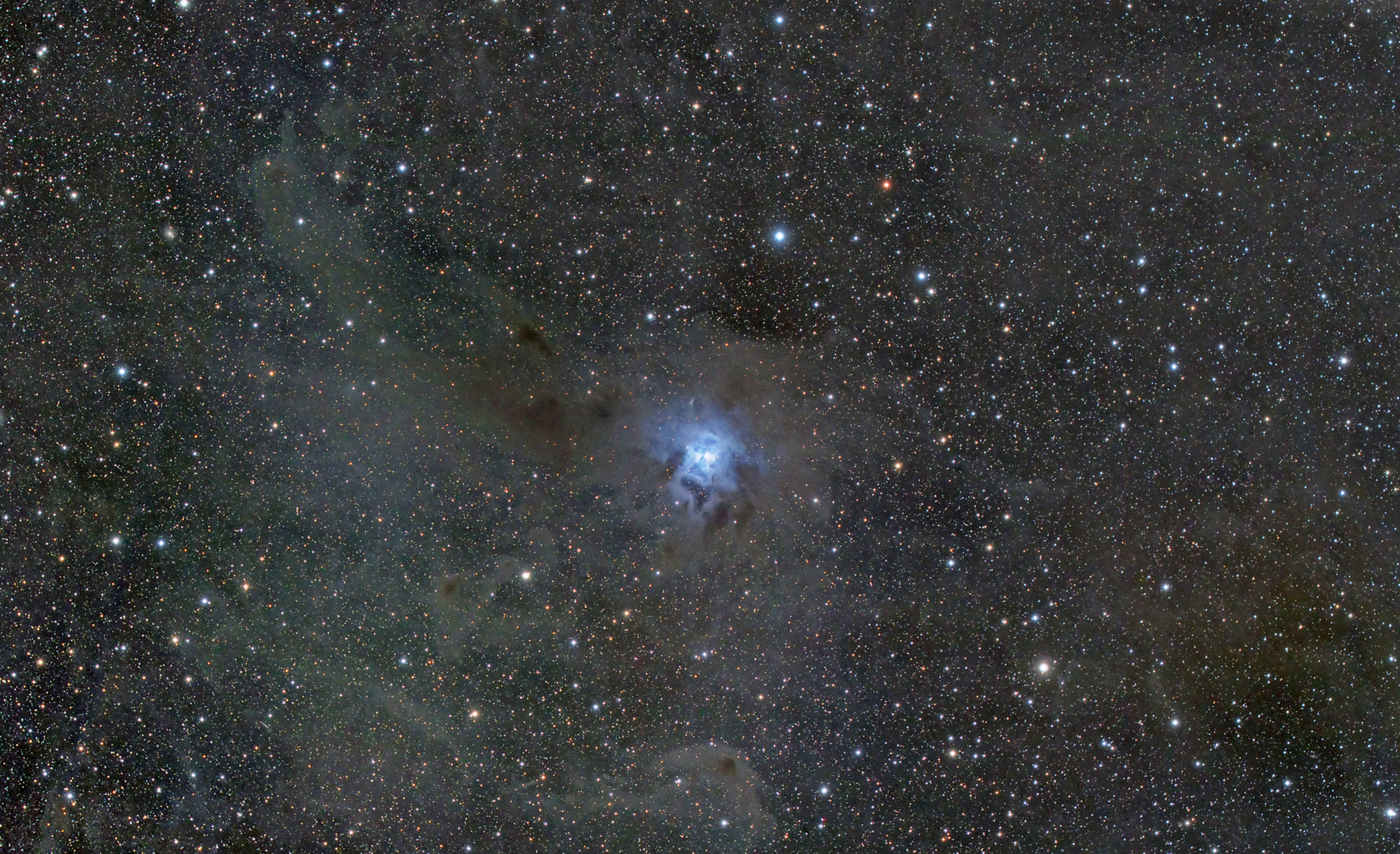 NGC7023 - Iris Nebula (reprocessed to show more dust)