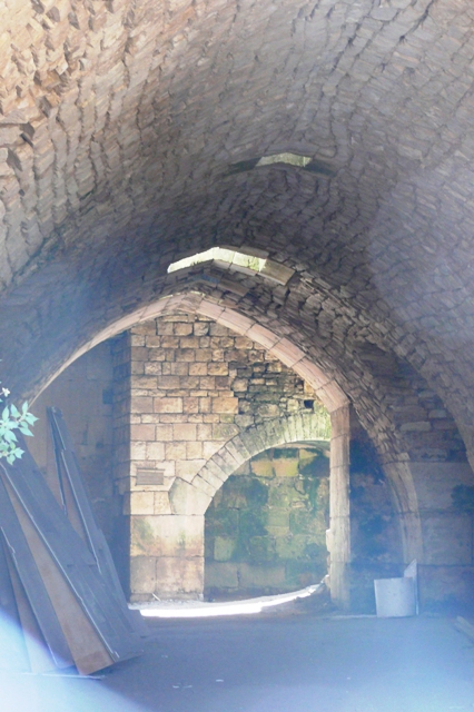 sP1490759b.JPG