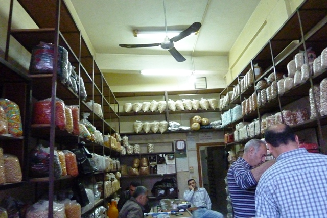sP1010155b.JPG