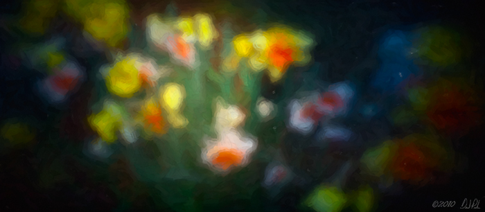 Spring Rising