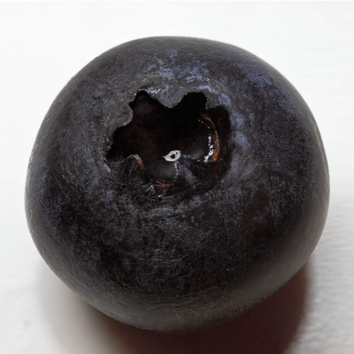 Blueberry