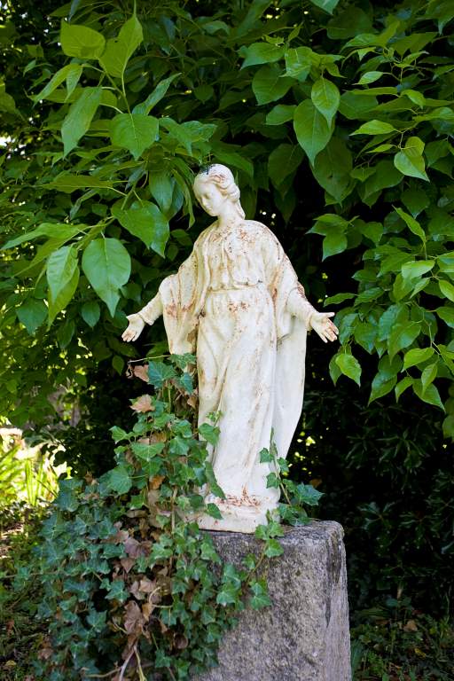 Garden adjacent to pool