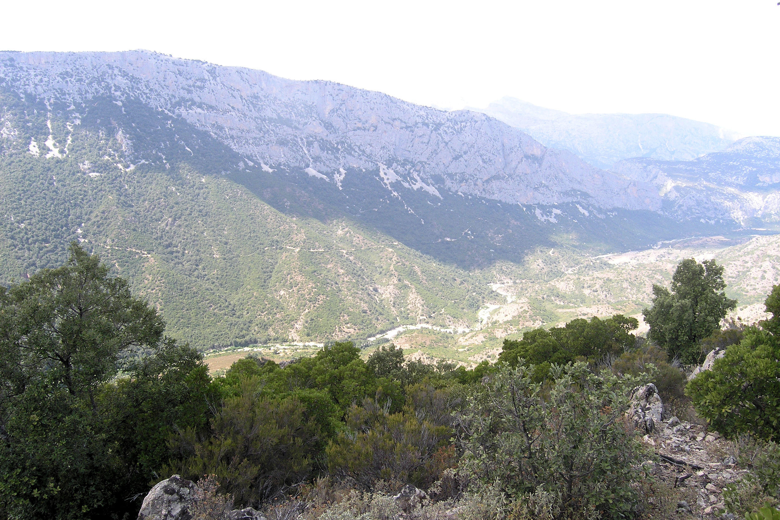 Ital_sard_ss125_061.JPG
