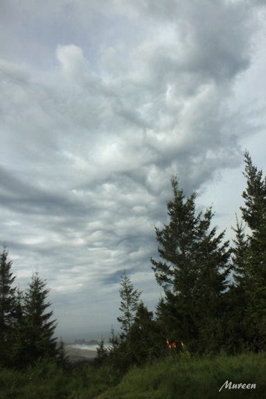 Cloud i