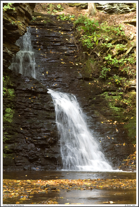 2009103010 copy pbase.jpg