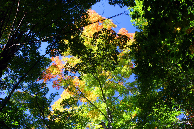 Franconia Notch State Park, NH - fall colors