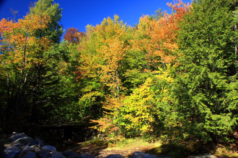 Franconia Notch State Park, NH - fall colors