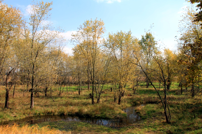 Prophetstown State Park, IN - Fall Colors