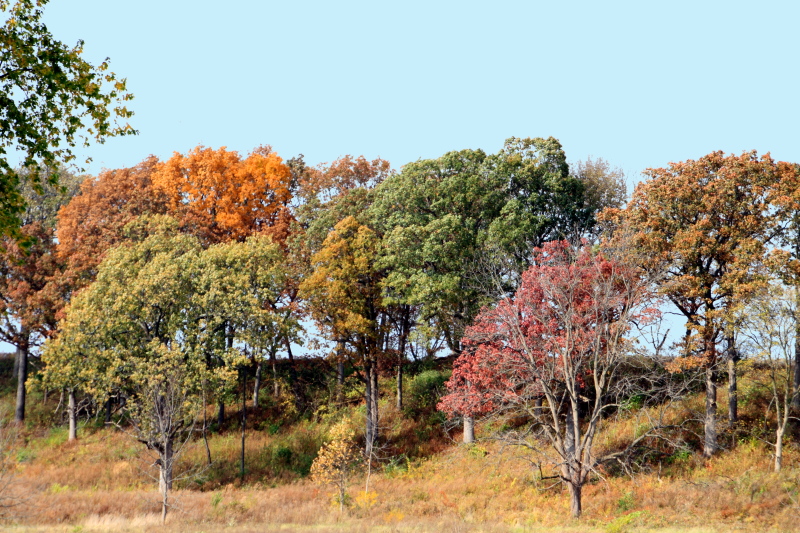 Prophetstown State Park, IN - Fall Colors