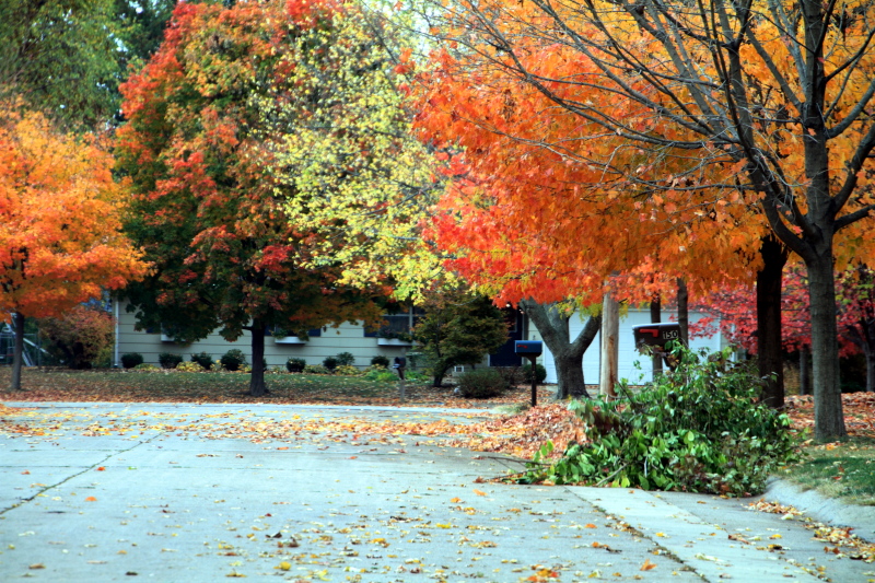 Prophetstown State Park, IN - Fall Colors